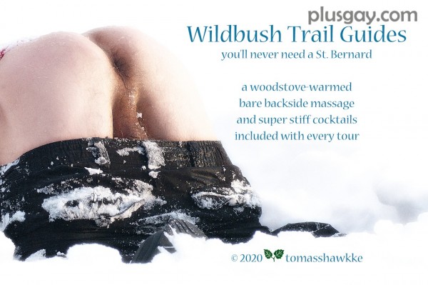 wildbush20001